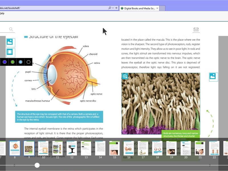 Students Enjoying SABIS® E-Books